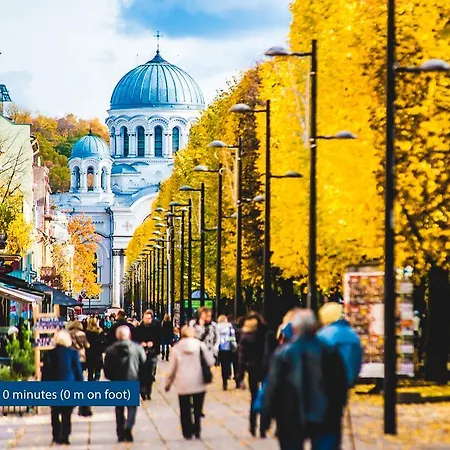 Kaunas City 카우나스